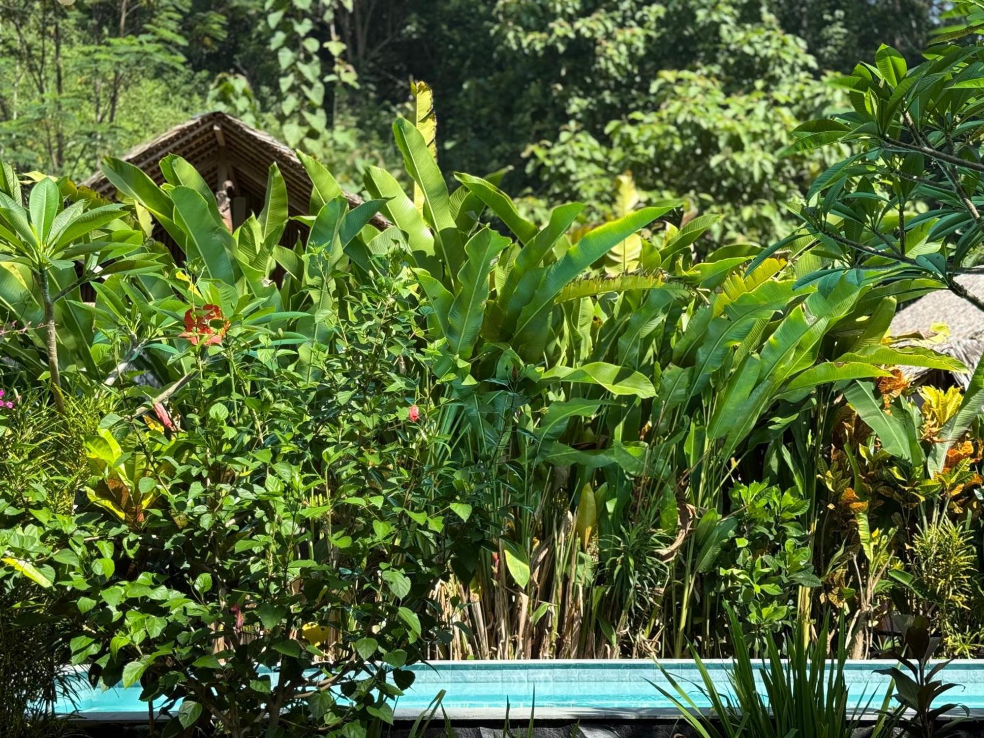 Rnv Eco Resort Bungalows Batukaras 外观 照片