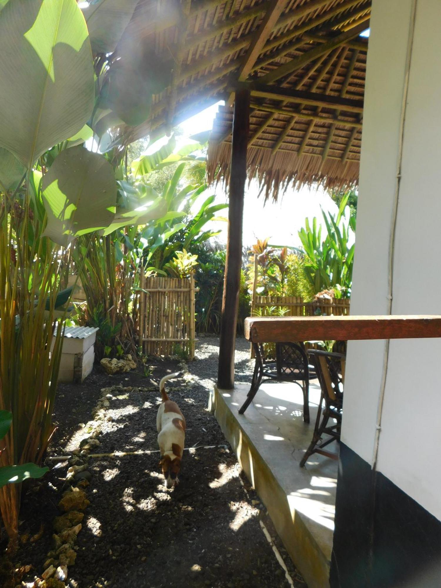 Rnv Eco Resort Bungalows Batukaras 外观 照片